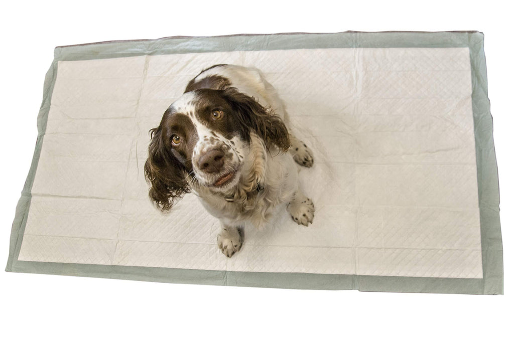 Speedwellstar 20 Extra Large 150 x 80 cm Dog Toilet Training 2300 ml Wee Pads Puppy Pet Disposable Unscented Super Sized Absorbent Mat Cover C&C 2x4 Fleece Cage Liner Thick Incontinence - PawsPlanet Australia