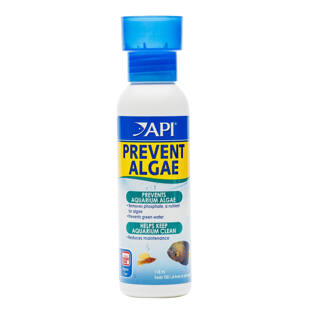 API Prevent Algae Aquarium Algae Control Solution, 118 ml Bottle 118 ml (Pack of 1) Single - PawsPlanet Australia