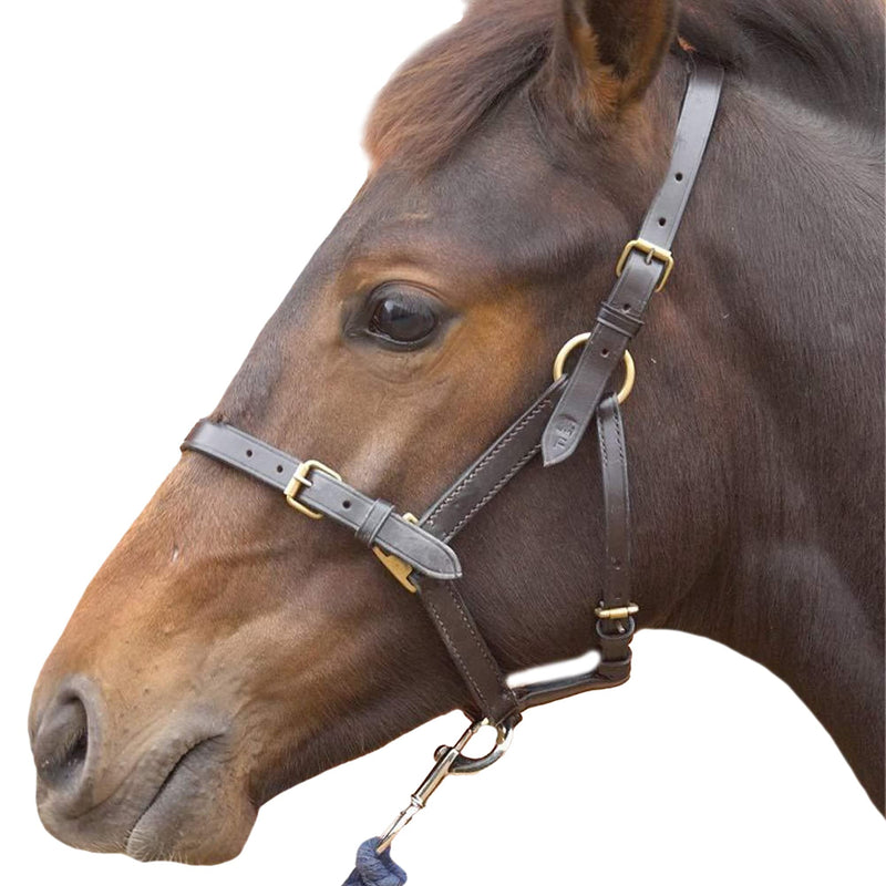 Hy Leather Foal Head Collar(Brown, Small) - PawsPlanet Australia
