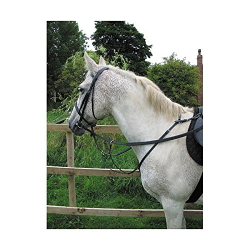 Horse Hunting Breastplate in Black or Brown (Black, Full) - PawsPlanet Australia
