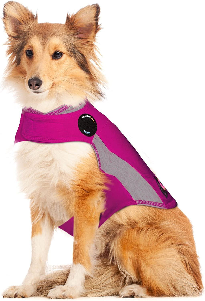 Thundershirt Polo, L, Pink - PawsPlanet Australia