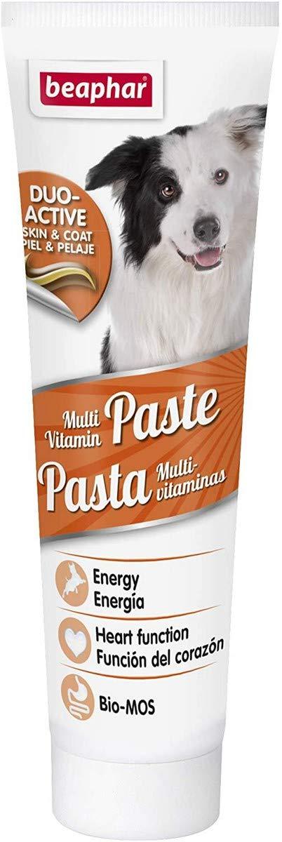 Beaphar Multivitamin Paste for Dogs, 100 g 100 g (Pack of 1) - PawsPlanet Australia