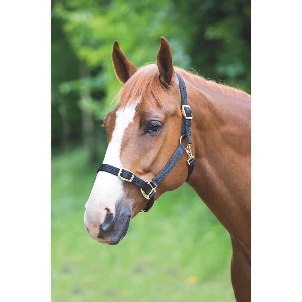 Shires Adjustable Pony/Horse Headcollar - Black Small Pony - PawsPlanet Australia