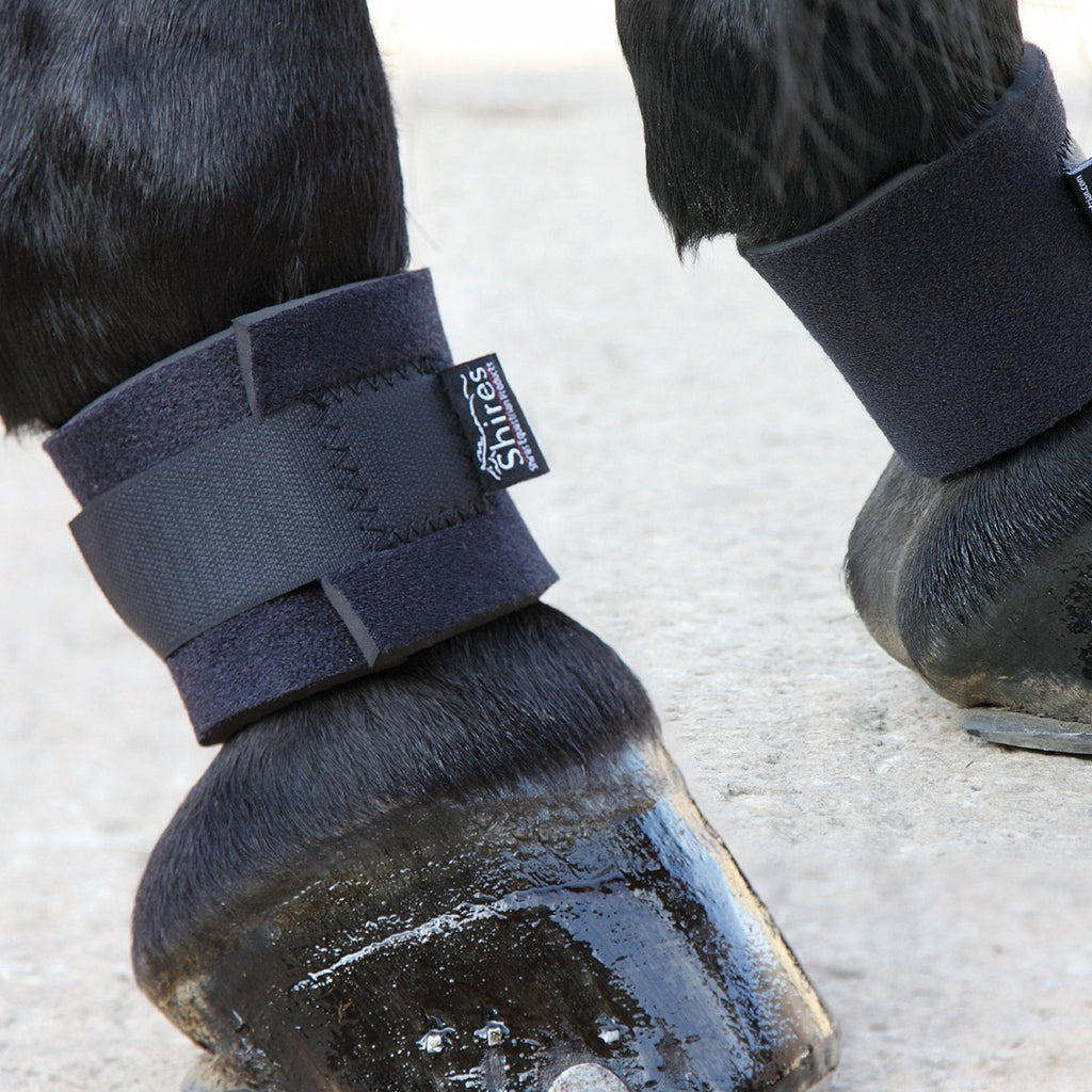 Shires Arma Pastern Wraps - Black - PawsPlanet Australia