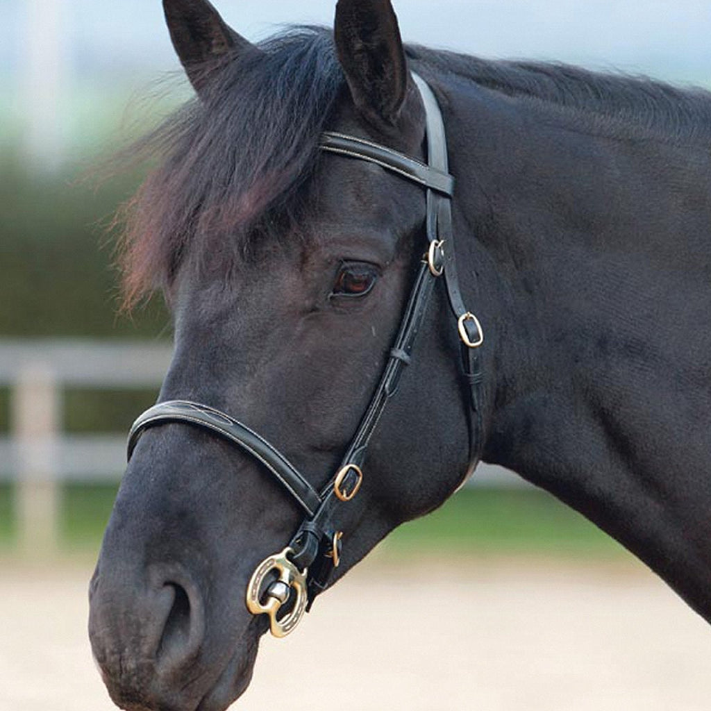 Shires Stitched In Hand Bridles Black Full - PawsPlanet Australia