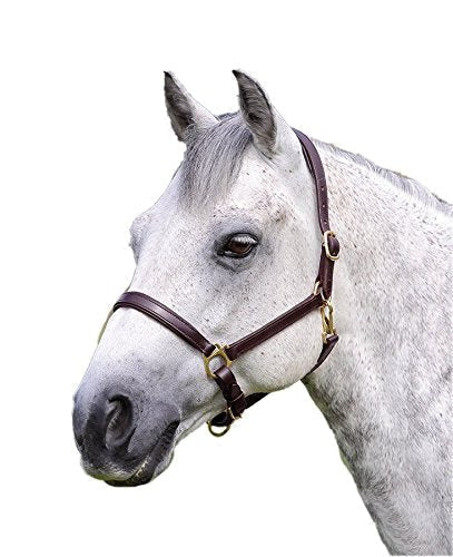 Shires Ragley Lined Leather Headcollar: Black: Small Pony - PawsPlanet Australia