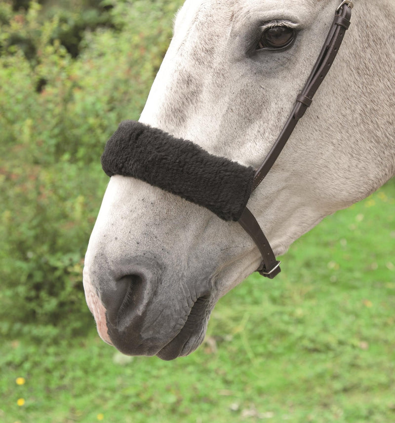 Shires Hackamore Sleeve or Noseband Cover Black - PawsPlanet Australia