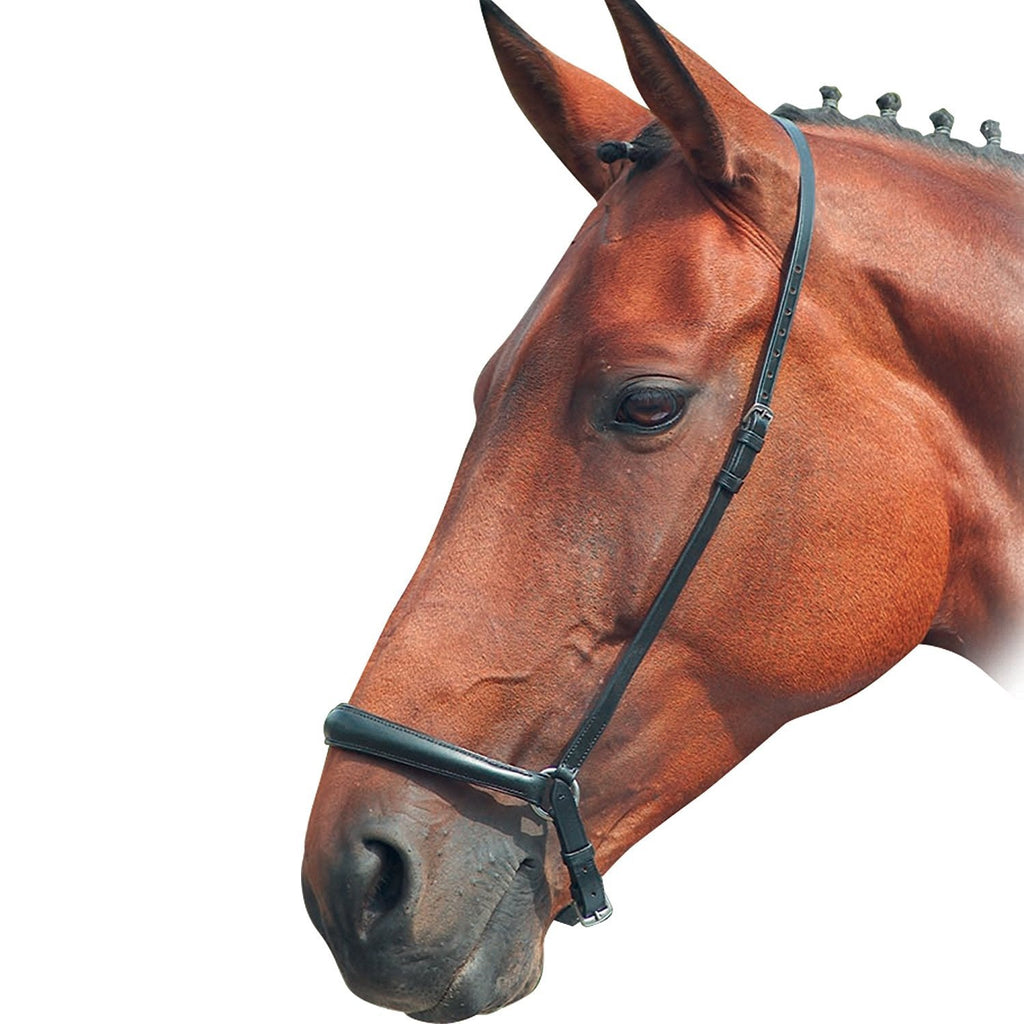 Bleinheim Drop Noseband - Choose Colour & Size Black Full - PawsPlanet Australia