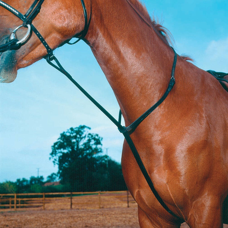 Shires Standing Martingales Black Full - PawsPlanet Australia