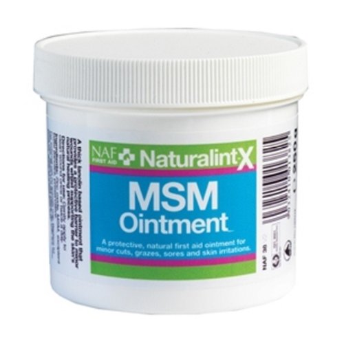 NAF - NaturalintX MSM Ointment x 250 Gm - PawsPlanet Australia