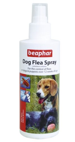 Beaphar Dog Flea Spray with Pump Action, 150 ml, Pack of 2 - PawsPlanet Australia