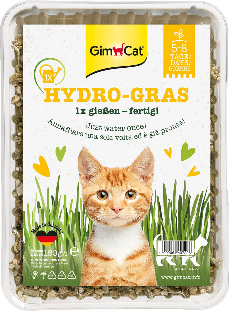 GimCat Hydro-Grass - Fresh cat grass harvested from certified open fields, ready in only 5 to 8 days - 1 bowl (1 x 150 g) - PawsPlanet Australia