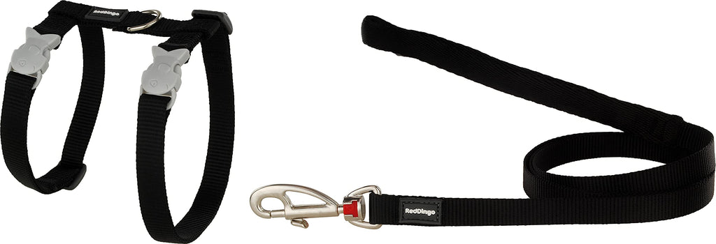 Red Dingo Classic Cat Harness and Lead Combo, Black adjustable - PawsPlanet Australia