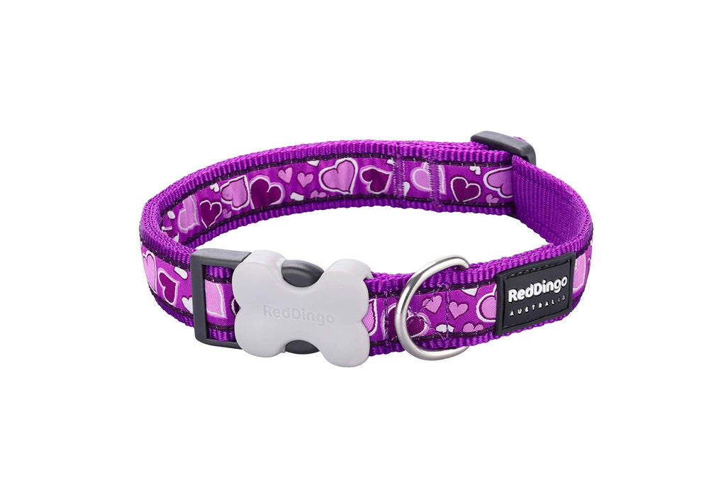 Red Dingo Dog Collar, 12 mm/Neck Size 20 - 32 cm, X-Small, Breezy Love Purple XS - PawsPlanet Australia