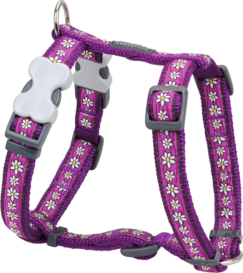 Red Dingo Dog Harness, 12 mm/ 30 - 44 cm/Neck Size 25 - 39 cm, X-Small, Daisy Chain Purple Extra Small - PawsPlanet Australia