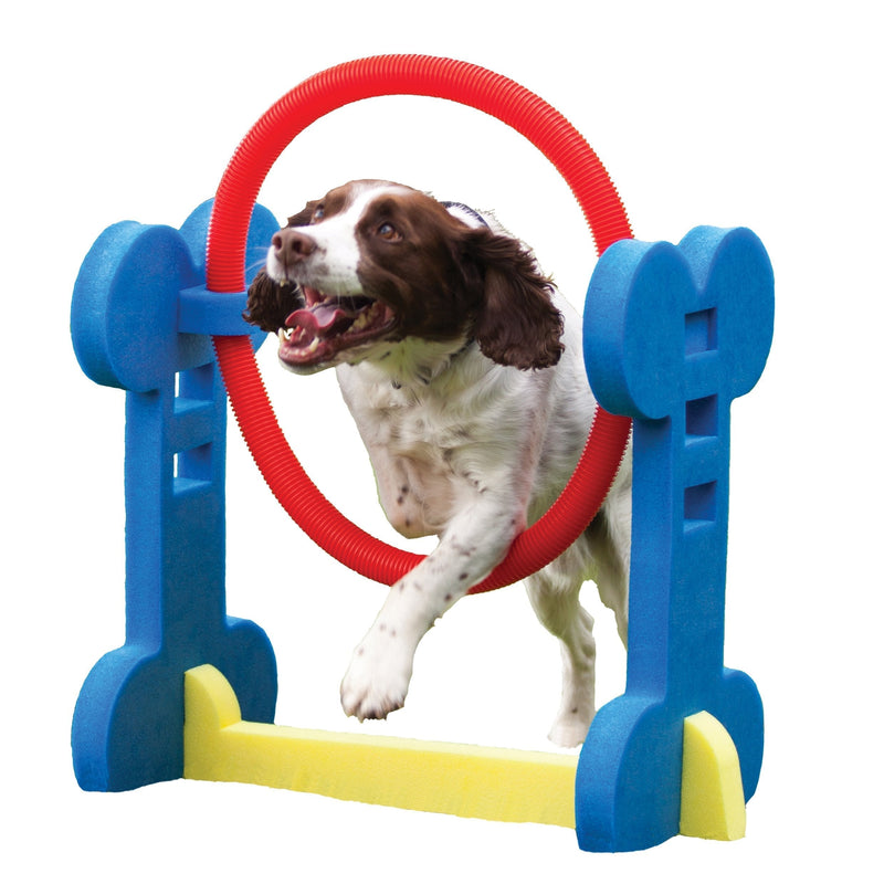 Rosewood Small Dog Agility Hoop - PawsPlanet Australia