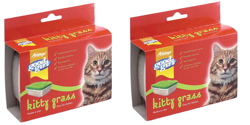 2 X GOOD GIRL KITTY KITTEN CAT GRASS - PawsPlanet Australia