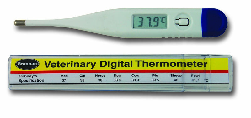 T & S Digital Veterinary Thermometer (with Hobday's spec chart) - PawsPlanet Australia