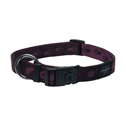 Rogz Alpinist Collar Kilimanjaro, Small, Purple - PawsPlanet Australia