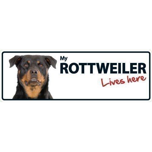 Magnet & Steel Rottweiler Lives Here Landscape Animal Sign - PawsPlanet Australia