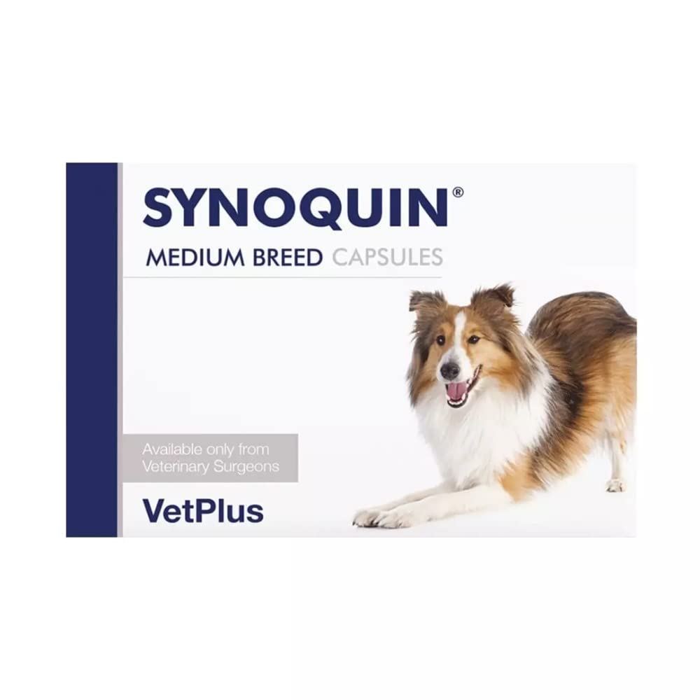 Synoquin Medium Breed - Dogs 10-25kg x 1 - PawsPlanet Australia