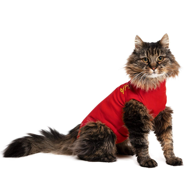 MPS Medical Pet Shirt Cat, Surgery Recovery Suit, Red, XXX-Small - PawsPlanet Australia