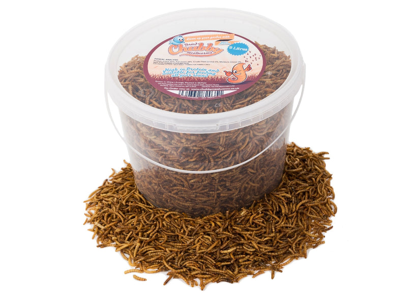 5 Litres Chubby Dried Mealworms for Wild Birds Only - PawsPlanet Australia