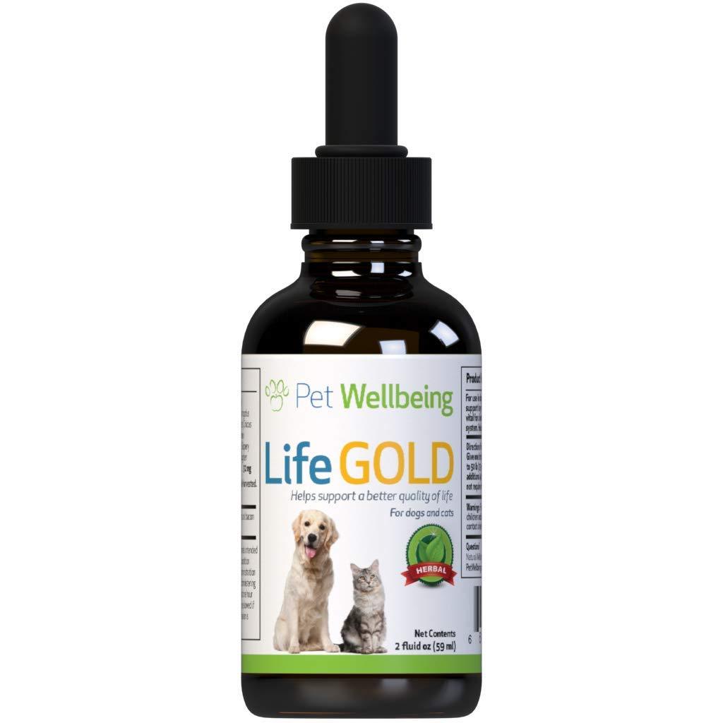 Pet Wellbeing - Life Gold For Dogs - Natural Cancer Support For Dogs - 2 Ounce 59 Milliliter - PawsPlanet Australia