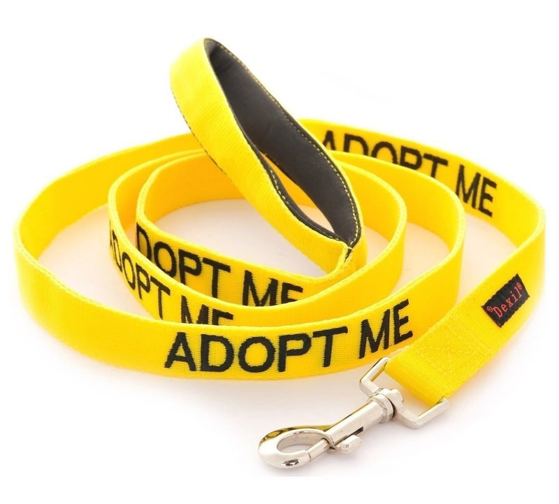 [Australia] - ADOPT ME Dexil Friendly Dog Collars Color Coded Dog Accident Prevention Leash 4ft/1.2m Prevents Dog Accidents By Letting Others Know Your Dog In Advance Award Winning 