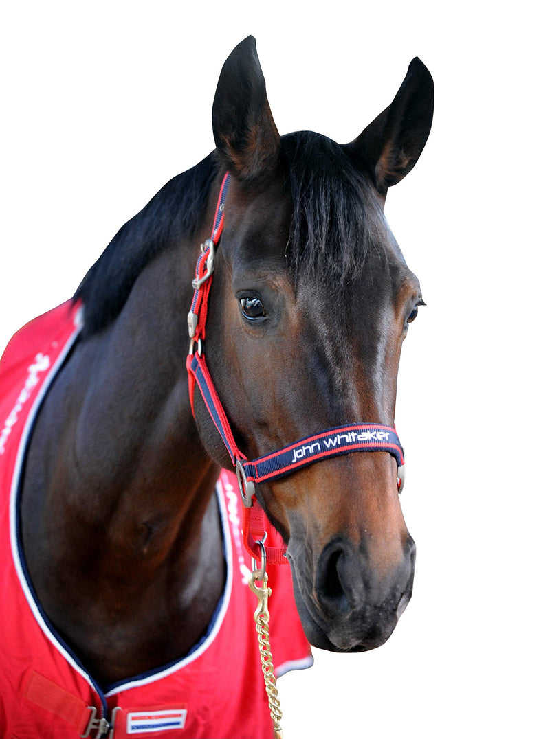John Whitaker Head Collars Full Red - PawsPlanet Australia