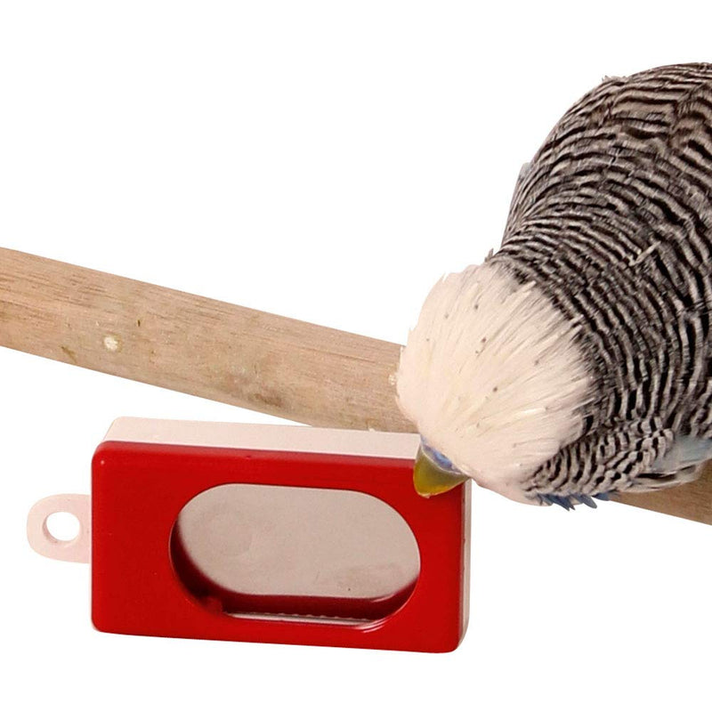 Training Clicker for Parrots and pet birds and animals training device - PawsPlanet Australia