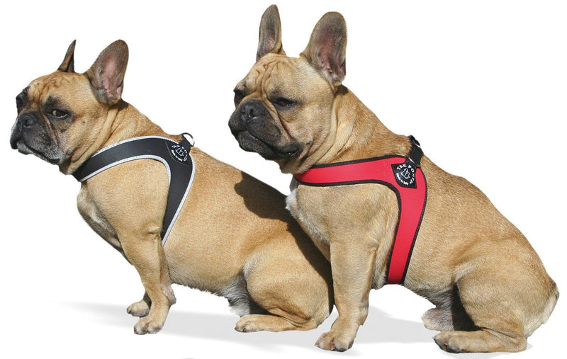 Tre Ponti Fibbia Small Dog Harness, 4 cm, Red - PawsPlanet Australia