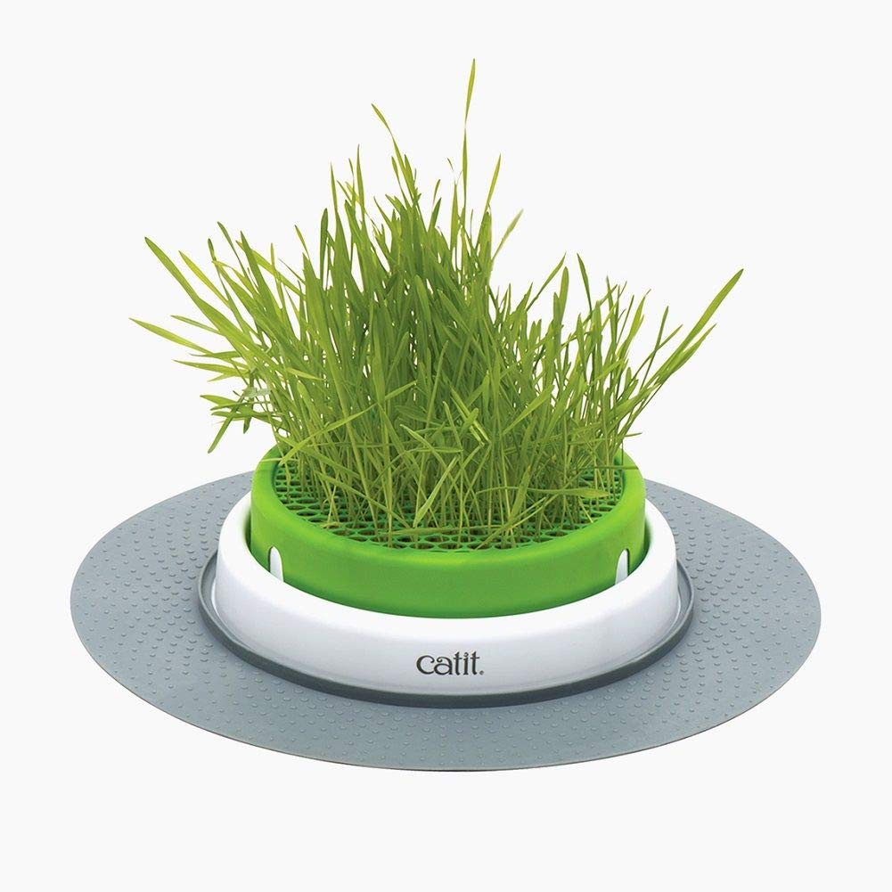 Catit Senses Grass Planter - PawsPlanet Australia