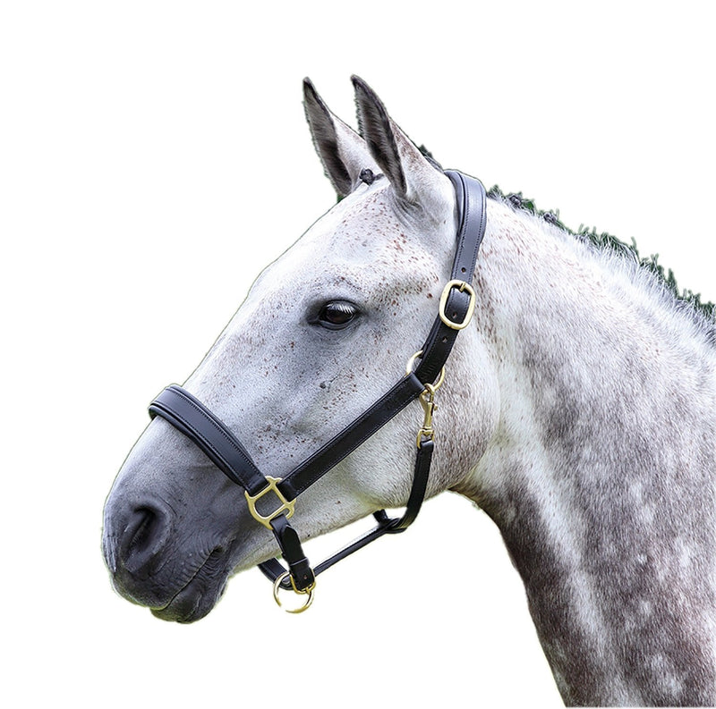 Shires Blenheim Leather Travel Headcollar: Black: Full - PawsPlanet Australia