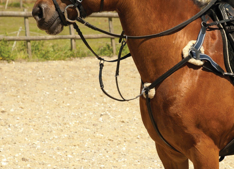 Windsor Equestrian Horses Leather 5 Point Breastplate Havanah Full - PawsPlanet Australia