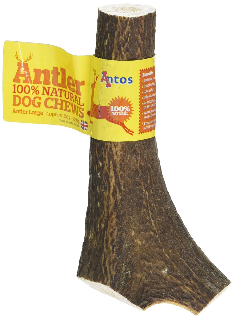 Antos Antler Natural Dog Chew - Large 1 Count (Pack of 1) - PawsPlanet Australia