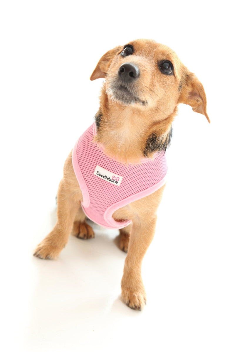 Doodlebone Airmesh Dog Harness, Pink, Medium - PawsPlanet Australia