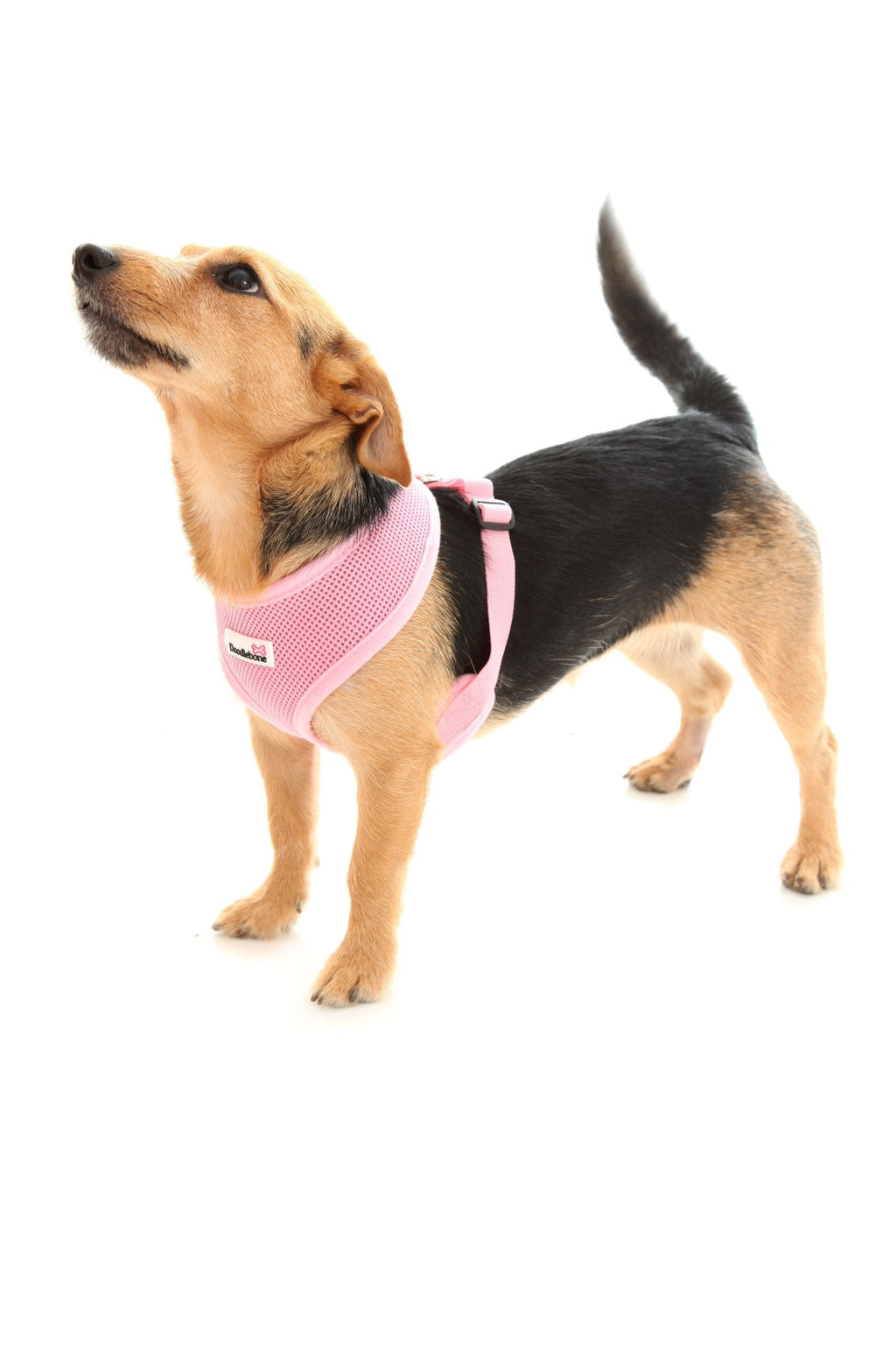 Doodlebone Airmesh Dog Harness, Pink, X-Small - PawsPlanet Australia