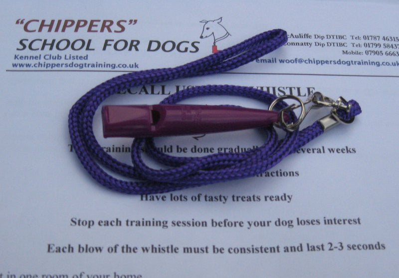 ACME WHISTLE, LANYARD and FREE WHISTLE RECALL TRAINING INSTRUCTIONS (PURPLE) purple - PawsPlanet Australia