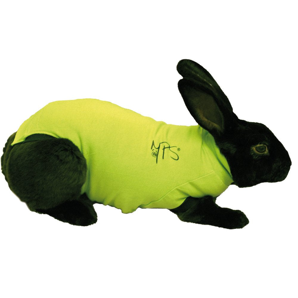 Rabbit Pet Shirt, Medium - PawsPlanet Australia