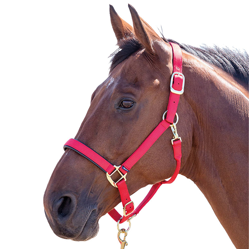 Topaz Nylon Head Collar Red Small Pony - PawsPlanet Australia