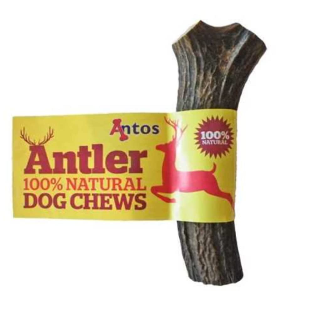 Antos Antler dog chew - Available in 3 sizes - 100% natural ALL SHAPES MAY VARY (Small Antler Small 50-75g) - PawsPlanet Australia