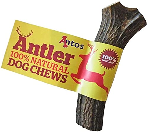 Antos Antler Dog Chew, Large (Shape may vary) - PawsPlanet Australia