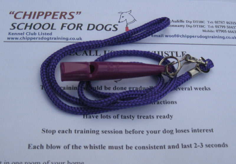 211.5 Acme Whistle, Matching Lanyard and FREE Recall Training Instructions (Purple) Purple - PawsPlanet Australia