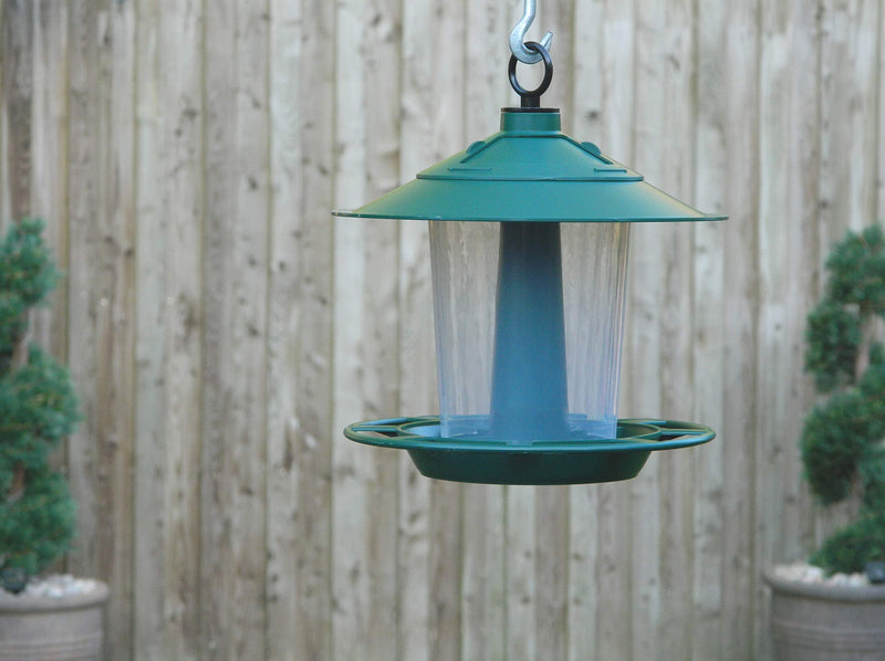 Hanging Lantern Bird Seed & Nut Feeder Green - PawsPlanet Australia