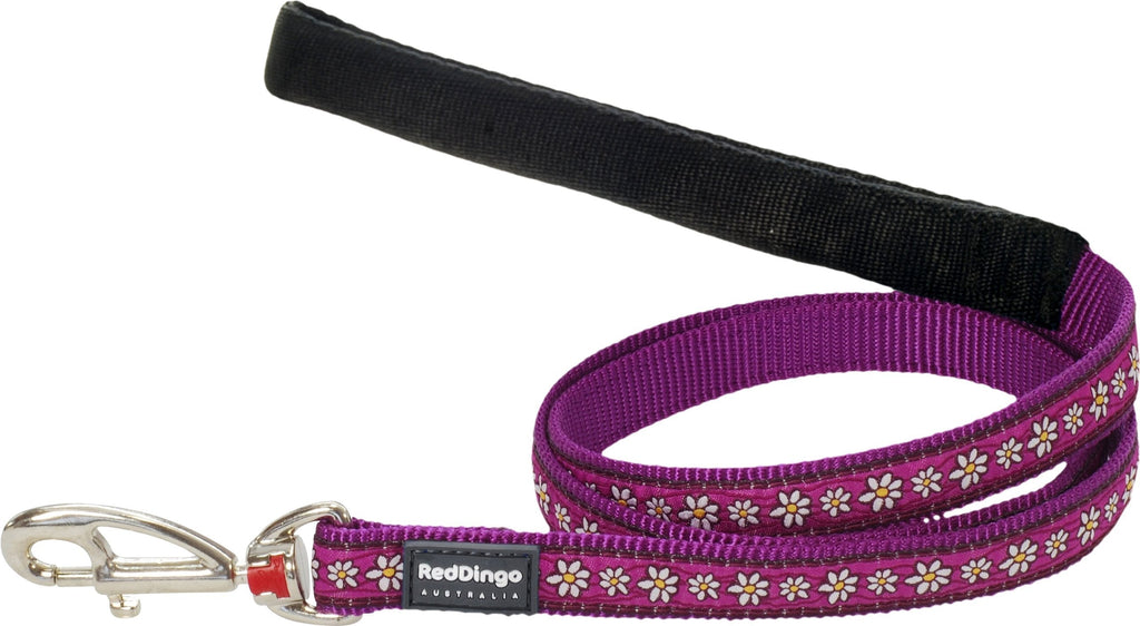 Red Dingo Daisy Chain Purple Dog Lead, Small Dasiy Chain Purple - PawsPlanet Australia