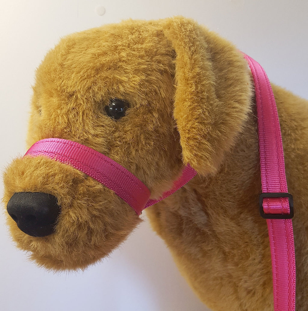 3 Meter CUSHION WEB FIGURE OF EIGHT DOG HEADCOLLAR WITH CLIP TO COLLAR MADE FROM SOFT CUSHION WEBBING STOPS PULLING!! (CERISE) - PawsPlanet Australia