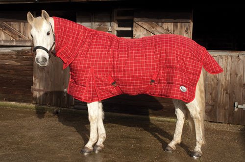 Rhinegold Dakota Full Neck Stable Quilt - 300gsm polyfill Red Check 1 Count (Pack of 1) - PawsPlanet Australia