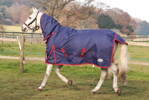 Rhinegold Full Neck Torrent Horse Turnout Rug Navy/Red Spot 4f 6" - PawsPlanet Australia