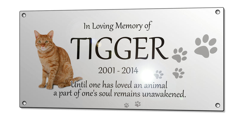 Beenanas Pet Dog Cat Memorial Metal Silver Plaque Rabbit Hamster Custom 3 X 6 Inches & Fridge Magnet Keepsake Set - PawsPlanet Australia